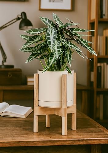 D'vine Dev Ceramic Planter with Natural Stand - 8 Inch Modern Round Flower Pot with Wood Planter Holder, Oatmeal, 55-B-N-8 - color: Oatmeal Pot + Natural Stand, size: 8 Inch