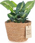 FOMIYES Woven Straw Flower Basket, Seagrass Planters Pot, Garden Plant Pot Containers Wicker Rattan Vase Sundries Organizer Storage Bins for Indoor Outdoor Plants - size: 25X19CM