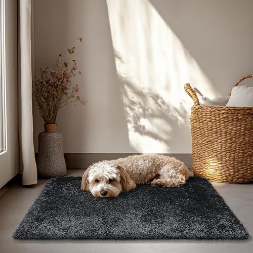 2x3 Fluffy Area Rugs for Bedroom Living Room,Small Soft Shag Fuzzy Rug Non-Shedding Indoor Plush Carpet for Bedroom Dorm Home Decor,Black - color: Black, size: 2' x 3' (Rectangular)
