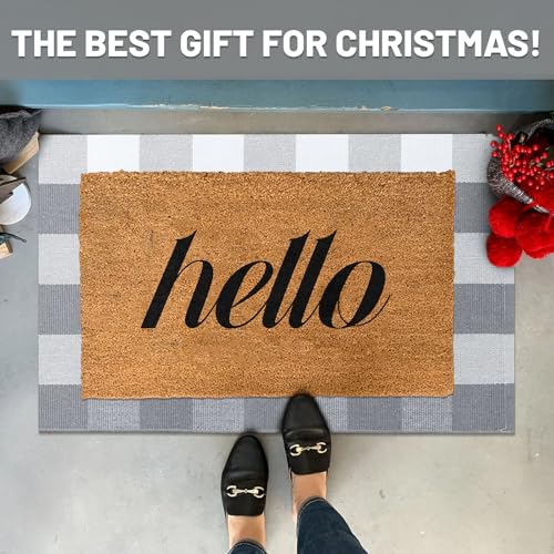 IOHOUZE Buffalo Plaid Checkered Rug 2x3 Ft Front Door Mats, Washable Area Rugs for Front Porch Decor, Spring Summer Welcome Mats Outdoor, Grey White Rug for Farmhouse/Entryway/Home Entrance - color: Grey and White, size: 2' x 3' (Rectangular)