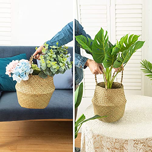 Seagrass Belly Basket, Set of 2 Woven Plant Pot Holder Handmade Home Decor for Storage Plants Picnic Grocery Large(12.6 x 11.02 inch) - size: L(Set of 2)