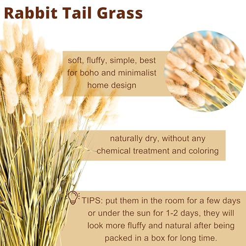 LaLaGreen Wood Wall Planters (8 Inch, 2 Pack) Include Bunny Tails Dried Flowers, Hanging Planter Wooden Box Vase for Indoor Modern Rustic Farmhouse Decor Home Living Room Bathroom Trendy Decoration - color: Bunny Tail Original