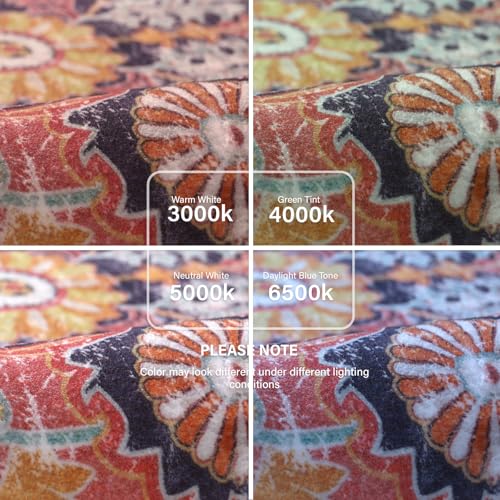 Lahome Reine Boho 2'8"x10' Washable Hallway Kitchen Runner Rugs with Rubber Backing, Bohemian Non-Slip Soft Kitchen Runners, Non-Shedding Stair Carpet Runner for Hall Bathroom, Fuchsia/Multi - color: Fuchsia/Multi, size: 2'8" x 10' (Runner)
