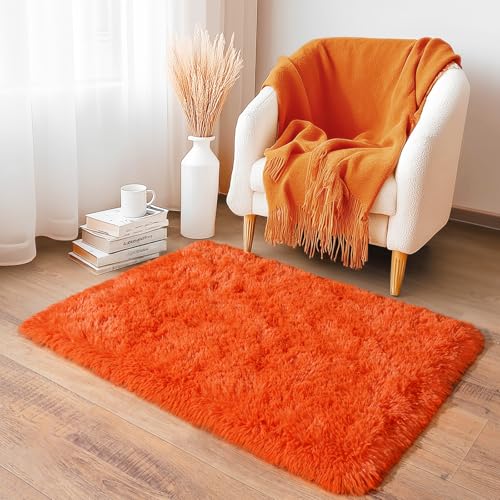 2x3 Small Rugs for Bedroom, Soft Fluffy Shaggy Bedside Area Rugs for Living Room, Indoor Floor Carpet for Kids Girls and Boys, Nursery Rooms, Home Decor Aesthetic, Orange - color: Orange, size: 2' x 3' (Rectangular)