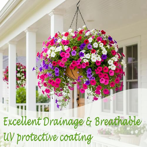 2 Pack 12 Inch Outdoor Plant Hanging Basket Round Metal Hanging Planter with Coco Coir Liner Black Metal Chain for Indoor Plants Baskets Railing Flower Pots Home Decor Flowers - color: Circular