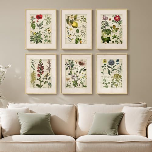 Framed Botanical Floral Wall Art for Kitchen, Set of 6 Green Painting Canvas Prints with Mat for Modern Farmhouse Wall Decor, Rustic Plant Flower Pictures for Living Room Bedroom Dining Room, 11x14 - color: Botany - Neutral Framed, size: 11" W x 14" H x 6