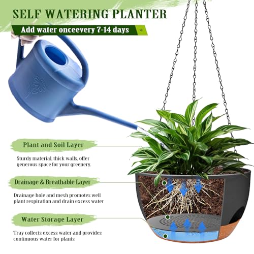 Hanging Planters for Outdoor Indoor Plants, 2 Pack 12 Inch Hanging Basket Plants Outdoor, Self Watering Hanging Planter with Plant Hanger for Garden Home Decoration (Black) - color: Black, size: 12 Inch