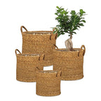 Scheurich Seagrass 33, Basket Planter/Basket Planter/Basket Pot with Seagrass Handles, Colour: Groove, 35 cm Diameter, 31 cm High, 26.9 Litres Vol. - color: Brown, size: 35