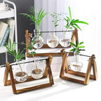 Kingbuy Plant Propagation Station, 3 Glass Bulb Vases with Wooden Stand | Boho Desktop Terrarium, Hydroponics, Home Office Window Sill Decor, Gift for Women Plant Lovers - size: 3 Bulb Vase