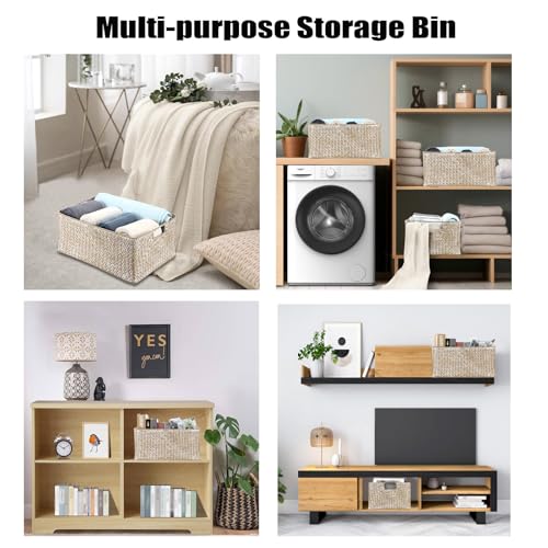 Hipiwe Seagrass Storage Basket Bin Rectangular Handwoven Wicker Storage Box with Handle Opened Baskets Box for Shelf Organizing Closet Bathroom, 15.7" L x 11.8" W x 7.5" H - color: Whitewash, size: X-Large,16.1"x11.8"x7.7"