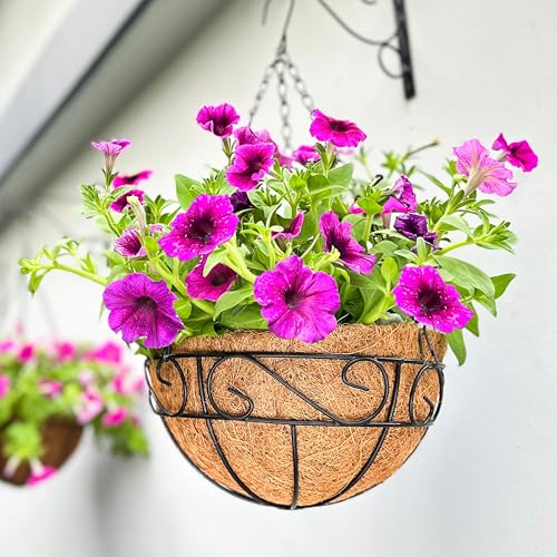 LaLaGreen Hanging Planter for Outdoor Plants (20 Inch, 2 Pack) Hanging Baskets with Coco Liner, Black Metal Wire Flower Basket Pots with Hook Hanger Balcony Porch Farmhouse Country Style Garden Decor - size: 20" x 2 Pack