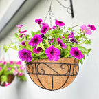 LaLaGreen Hanging Planter for Outdoor Plants (20 Inch, 2 Pack) Hanging Baskets with Coco Liner, Black Metal Wire Flower Basket Pots with Hook Hanger Balcony Porch Farmhouse Country Style Garden Decor - size: 20" x 2 Pack
