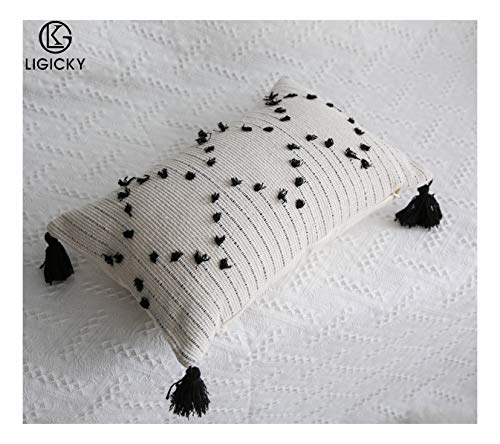 LIGICKY Boho Lumbar Pillow Covers 12x20 Inch Decorative Throw Pillows for Couch Chair Sofa Black and Off White Woven Tufted Pillow Case with Tassels - color: Black and Off White（little Diamond）, size: 20" x 12" (Pack of 1)
