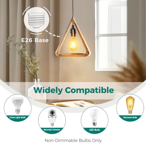 DiCUNO Extension Hanging Lantern Cord Cable, E26 Pendant Light Lamp Socket, On-Off Switch Close to Polarized Plug, 13 Feet, Medium Base for Grow, Plant, Ceiling Lights Fixture, Black, 1 Pack - style: 13ft - Black