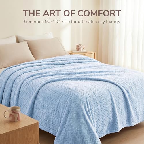 Exclusivo Mezcla Fleece Bed Blanket King Size, Lightweight Jacquard for Spring Summer, Soft Cozy Breathable Blankets, Light Blue, 90x104 Inches - color: Light Blue, size: King ( 90x104 IN )