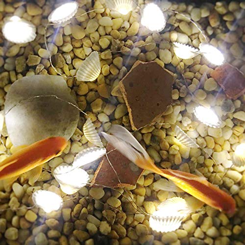 Starryfill Ocean Real Seashell 0.8"(H) 40 LED String Lights 13.85Ft Battery Operated Waterproof Warm White with Timer and Remote Control for Beach Themed Decoration Indoor Covered Outdoor Birthday - color: Seashell