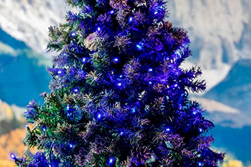 Novelty Lights 25ft 50 LED Blue Christmas Lights Outdoor/Indoor, 6" Spacing, Green Wire String Lights for Festive Xmas Lighting, IP55, UL Listed, Dimmable, Connectable - color: Blue