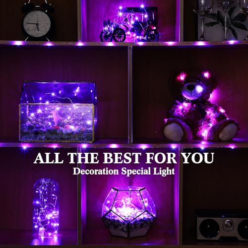 Hortsun 100 Packs Fairy Lights Battery Operated 3 Speed Modes, 7 Ft/ 2 M 20 LED Battery String Mini Waterproof Wire Twinkle Lights Bulk for Wedding Party Birthday Vases Decor (Purple Light) - color: Purple Light