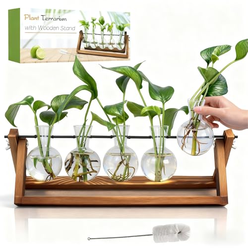 Renmxj Plant Propagation Stations with Wooden Stand & 5 Glass Bulb Vases | Plant Terrarium for Indoor Plants, Home Office Desk Decor, Gardening Gifts for Women Mom, Birthday Gifts for Plants Lovers - size: 5 Bulb Vase