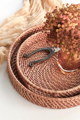 HITOMEN 11.8" Hand-Woven Round Rattan Serving Tray Decorative Wicker Trays with Handles for Coffee Table (Honey Brown-M) - color: Honey Brown, size: Medium (11.8 inches)