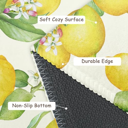Lemon Decorative Area Rug 2x3 Spring Summer Yellow Fruit Green Leaf Floral Front Door Mat Indoor Outdoor Non-Slip Small Entryway Throw Rugs for Kitchen Bathroom Living Room Bedroom - color: Lemon