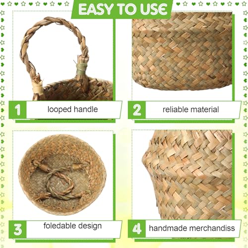 Qunclay 4 Pcs Woven Seagrass Baskets Belly Basket Folding Boho Natural Plant Pot with Handles Round Decorative Wicker Large Indoor Planter for Home Outdoor Tree Planters Decor (Xs,7.9''dx6.3''h) - size: XS,7.9''Dx6.3''H
