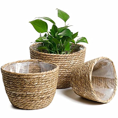 Seagrass Planter Basket 3 Set Handmade Woven Basket Indoor Outdoor Storage Basket Flower Pot Container with Waterproof Plastic Liner for Houseplants Succulents Orchid Modern Home Decor Brown