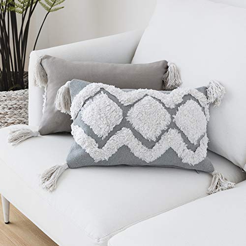 LEVINIS Grey Lumbar Throw Pillow Covers 12 x 20 with Tassels, Boho Decorative Throw Pillow Case for Couch Sofa Bedroom Living Room Car, Modern Farmhouse Decor - color: Grey White, size: 20" x 12" (Pack of 1)