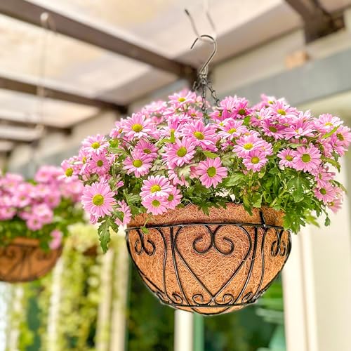 LaLaGreen Hanging Baskets for Plants (10 Inch, 2 Pack) Small Hanging Flower Pots with Coco Liner, Black Metal Wire Round Plant Holder with Hanger Hook Chain Outdoor Deck Patio Balcony Garden Decor - size: 10" x 2 Pack