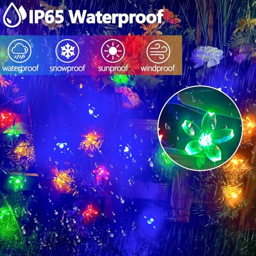 OZS 2PK 80LED 50FT Flower Solar String Lights Outdoor Waterproof, Cherry Blossoms Multicolor Lights with 8 Lighting Modes, Garden Decor for Outside, Pathway Light for Fence, Patio, Yard - color: Cherry-Multicolor