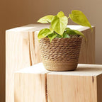 Handwoven Seagrass Planter Baskets - 3 Sizes Small Medium Large (Medium) Straw Plant Pot Covers for Indoor Plants Home Storage Rustic Boho Decor Organize Towels Toys Toiletries