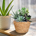 TOYANDONA 2pcs Modern Woven Plant Pots Natural Woven Planter Baskets Liner for Indoor Outdoor Random Color 5.1 inch