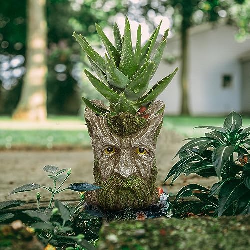 Face Planter - Unique Old Man Tree Face Planters for Outdoor Indoor Plants with Drainage Hole, Funny Plant Pots for Succulents - Creative Flower Pots as Gifts for Women and Men (Green Man)
