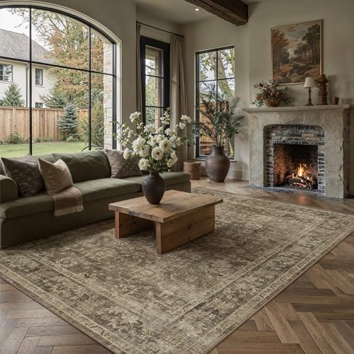 HUGEAR 9x12 Area Rug Brown Machine Washable Rug Room Decor Vintage Distressed Living Room Carpet Non Slip Low Pile Throw Rugs for Bedroom Dining Room Soft Lightweight - color: A| Brown, size: 9' x 12' (Rectangular)