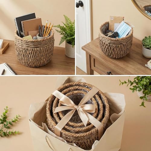 Seagrass Plant Basket Set of 3, Handwoven Woven Planter Baskets | Plastic Lined, Waterproof Liner, Natural Storage Basket, Home Decor