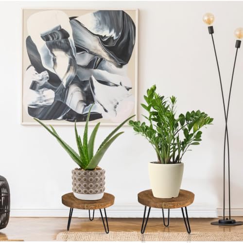 OBTAIN Plant Stand Indoor Outdoor, Wooden plant Stool, Mid Century Plant Stand for Indoor Plants, Wood Modern Plant Holder Rattan Flower, Low Short Boho Rustic Planter Stand Fit 5-15 Inch Pot(M, L) - color: Dark Brown, size: Medium & Large (2-Pack)