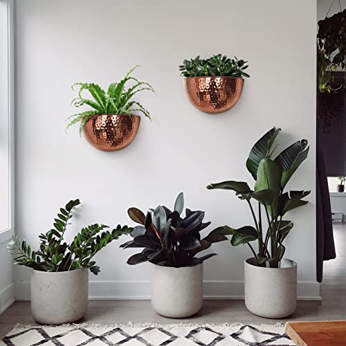 Allegorie Metal Wall Planter | Indoor or Outdoor Hanging Plant Pot | Farmhouse Decor & Boho Kitchen Decoration for Herbs & Succulents and Living Wall 12x7 (Copper) - color: Copper