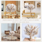 220PCS Natural Dried Pampas Grass Boho Home Decor Bouquet Phragmites Dried Flowers Bouquet for Wedding Floral Arrangements Home Decorations (220PCS) - size: 220 Pcs