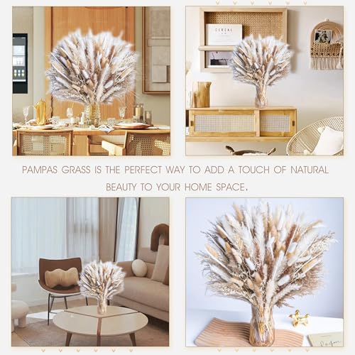220PCS Natural Dried Pampas Grass Boho Home Decor Bouquet Phragmites Dried Flowers Bouquet for Wedding Floral Arrangements Home Decorations (220PCS) - size: 220 Pcs