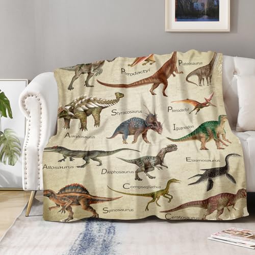 Aimego Dinosaur Blanket Gifts for Boys Kids Dino Jurassic World Educational Gifts for Toddler Dinosaur Lovers Children Baby Girls Birthday Christmas Throw Blankets 50"x60" - color: Dinosaur