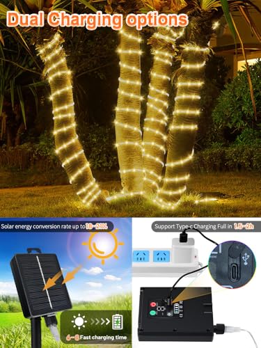 Thicker Tube Solar Rope Lights with Remote for Garden Decoration ,39FT 200LEDs Outdoor Solar Strip Lights for Palm Tree,IP67 Waterproof,USB Charging & 8 Modes Fairy Light for Christmas(Warm White) - color: Brighter-Warm White, size: 200 LED-Larger