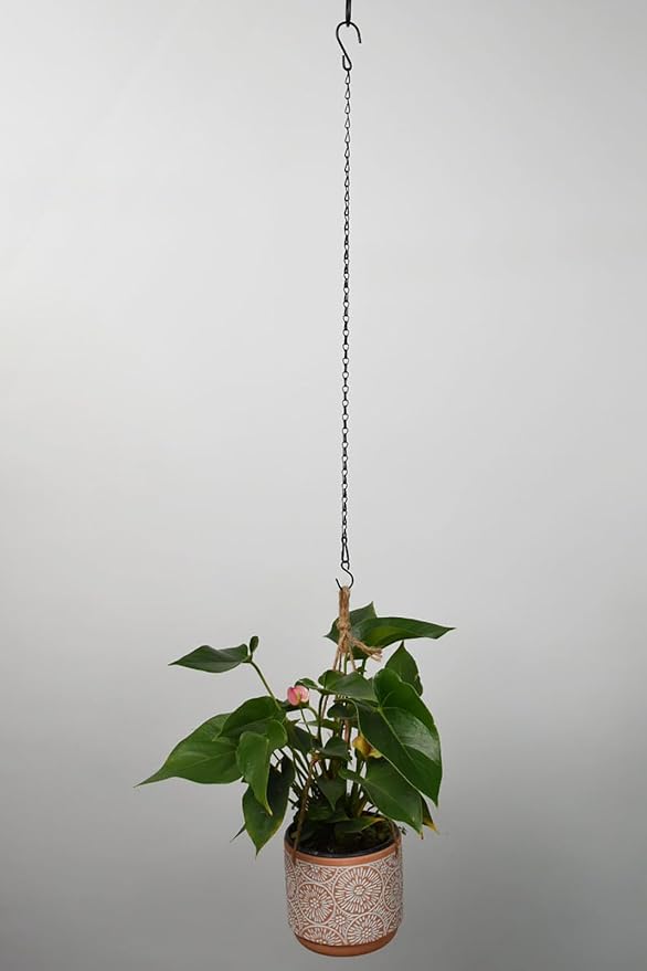 Chain for Hanging Plants,25 Inch Black Hanging Chain Basket Kits with Hooks for Bird Feeder Plant Extender Porch Wind Chime (Black, 25 Inch-4PCS)