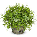 Hollyone Artificial Boxwood Plant in Woven Pot 9” Fake Potted Plants Topiary Boxwood Greenery Arrangement Centerpiece Faux Plants for Home Indoor Outdoor Farmhouse Office Desk Centerpiece Shelf Decor