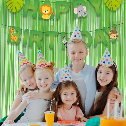 Lime Green Streamers Party Backdrop - GREATRIL Tinsel Curtain for St Patrick's Day/Frog/Wizard - 3.2ft X 8.2ft - 2 Packs - color: Lime Green