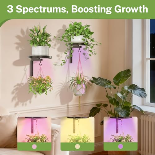 iDavosic.ly Wall Plant Holder with Grow Lights Set of 2 for Indoor Outdoor, Metal Hanger with 2 Hooks, Floating Flower Display Stand for Window, Space Saving & Easy to Assemble (Pots Not Included) - color: Black with 2 Lights, size: 2 Pack