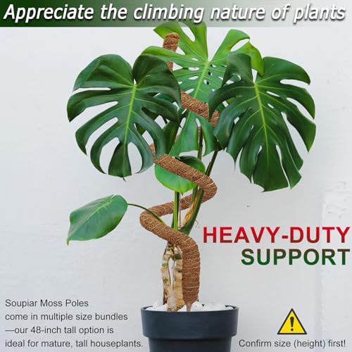 2 Pack 48'' Bendable Moss Pole for Monstera & Pothos - Tall Handmade Coco Coir Plant Support Stakes for Large Climbing Indoor Plants, Potted Houseplant Trellis Accessories - color: 2×48 Inch