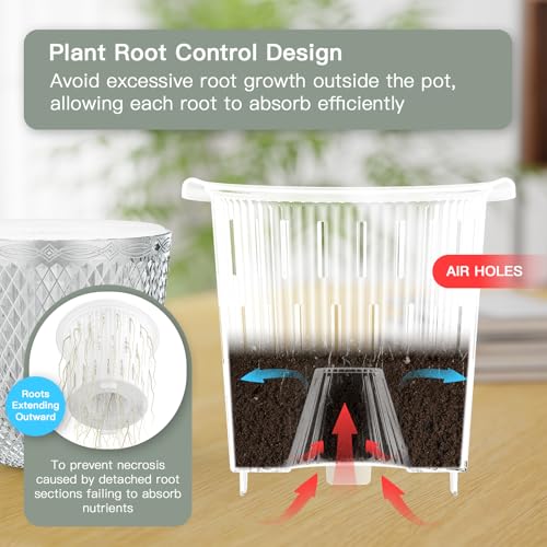 QCQHDU Hanging Planters for Indoor Plants, 2-Pack, 5.7 Inch, Clear | Plastic, Self Watering Plant Hanger, with Drainage Holes, 3 Hooks Chains, For Garden Home - color: Clear, size: 5.7in
