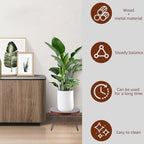 Plant Stand Indoor Outdoor, Wooden plant Stool, Mid Century Plant Stand for Indoor Plants, Wood Modern Plant Holder Rattan Flower, Low Short Boho Rustic Planter Stand Fit 5-15 Inch Pot (Walnut, L) - size: L