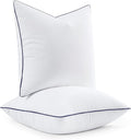 MIULEE 22x22 Pillow Inserts, Fluffy Down Alternative Filling Pack of 2 Ultra Soft Throw Pillows for Bed Sofa Couch