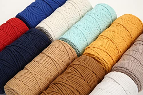 Cotton Macrame Cord 3mm 109yards Natural Colored Macrame Supplies, Soft Craft Cotton Rope for Plant Hanger Wall Hanger Dreamcatcher (Beige) - color: Beige, size: 3mmx109Yards